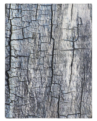 The Blue Bark Rug