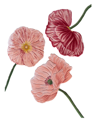 The Poppy Tapestry | Papavero
