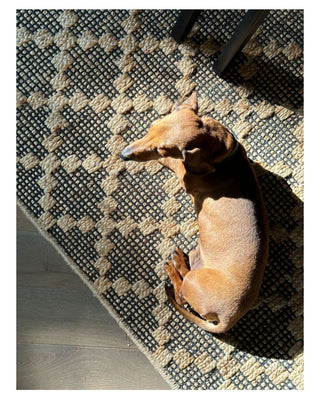The Diamond Rug